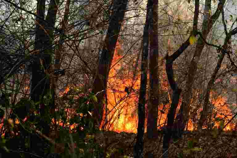 IAF帮助卡纳塔克邦政府在Bandipur Tiger Reserve中推出火灾